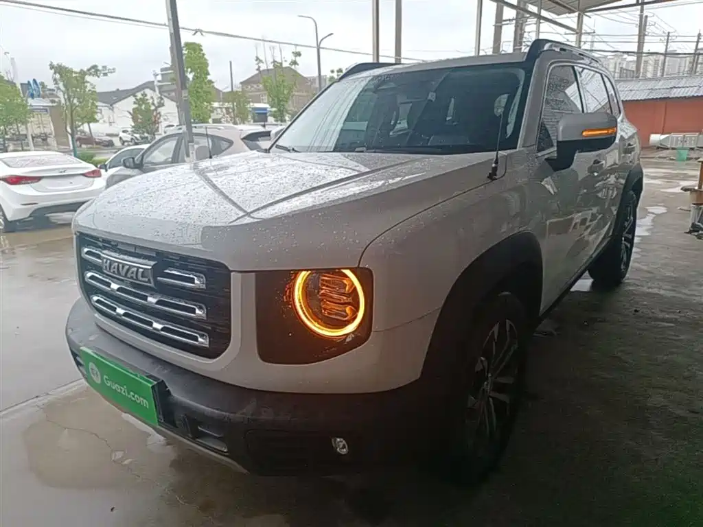 Haval Big Dog 2021 1.5T DCT 2WD Border Collie Edition фото 2