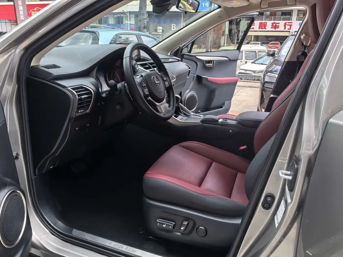 Lexus NX 2020 300h FWD F Sport China V фото 8