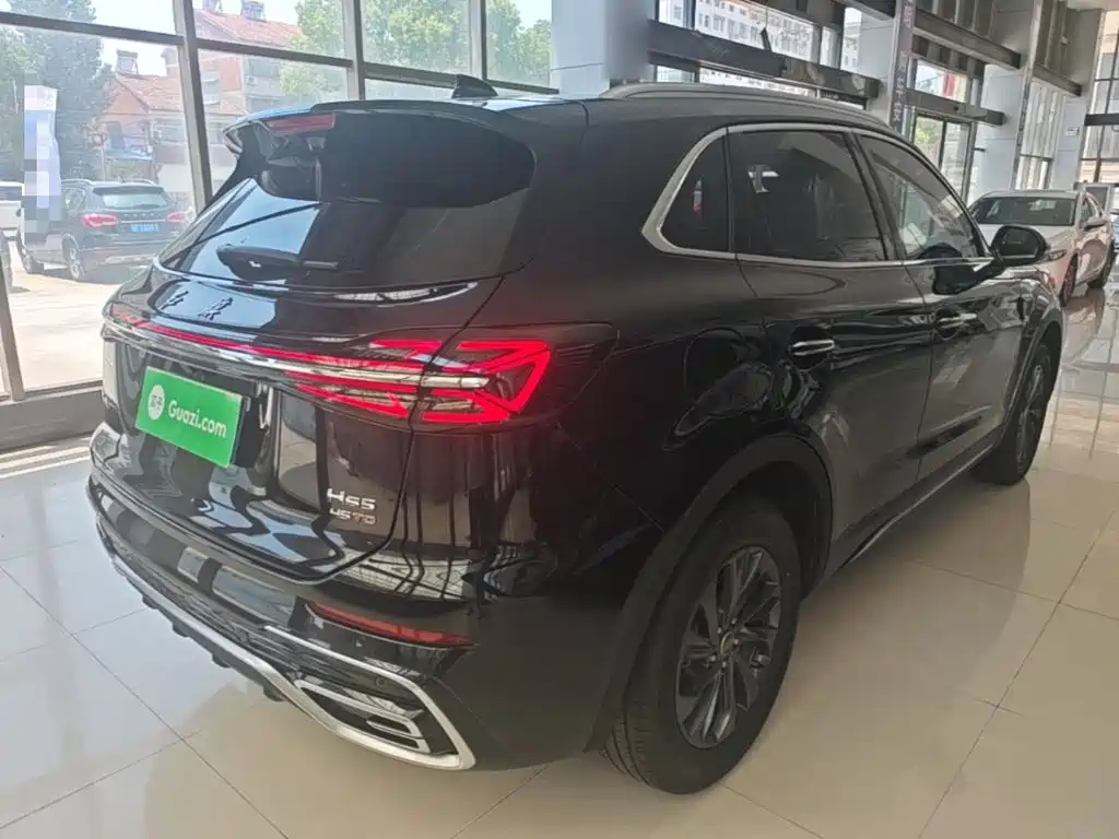 Фото 7 - Hongqi HS5