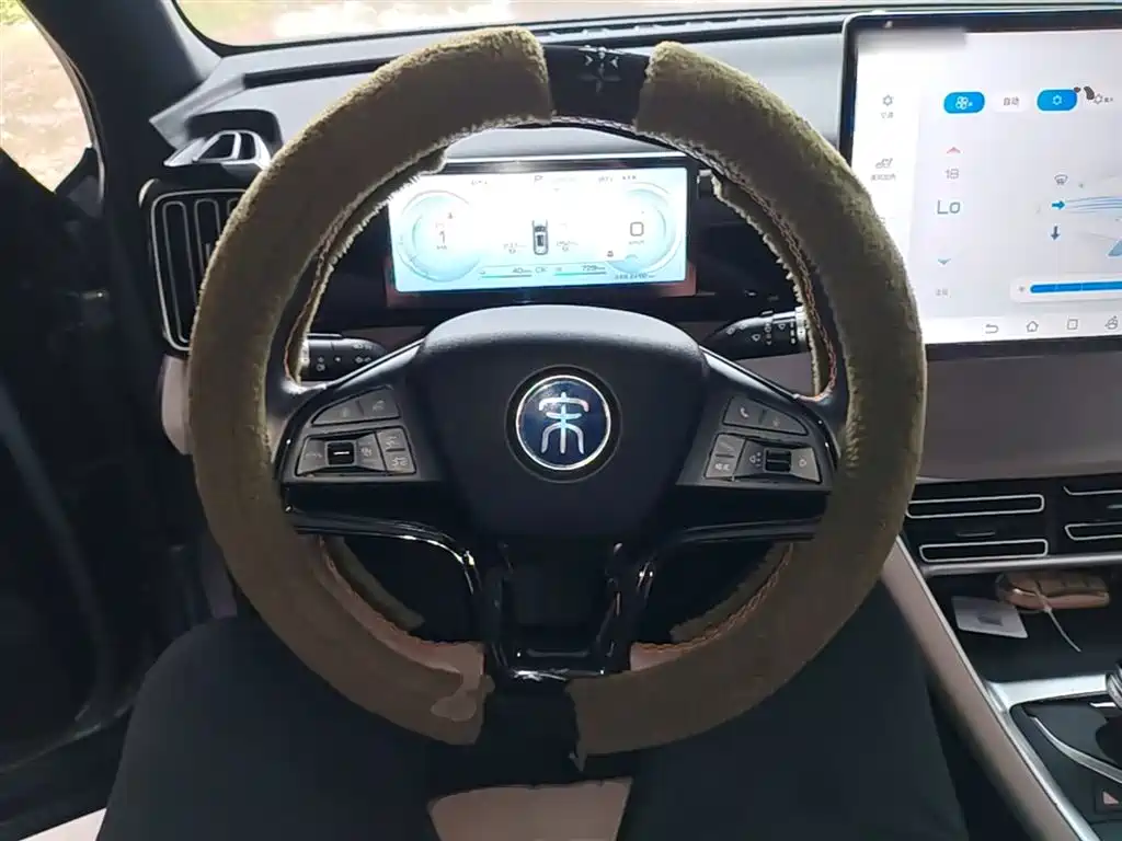 BYD Song Pro New Energy 2023 Champion Edition DM-i 110KM Excellence фото 11
