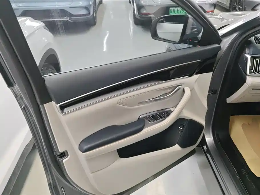 BYD Song PLUS PHEV 2023 Champion Edition DM-i 110KM Flagship фото 7