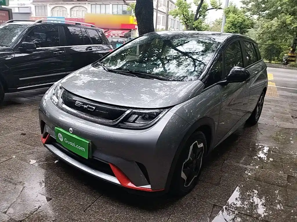 BYD Dolphin 2021