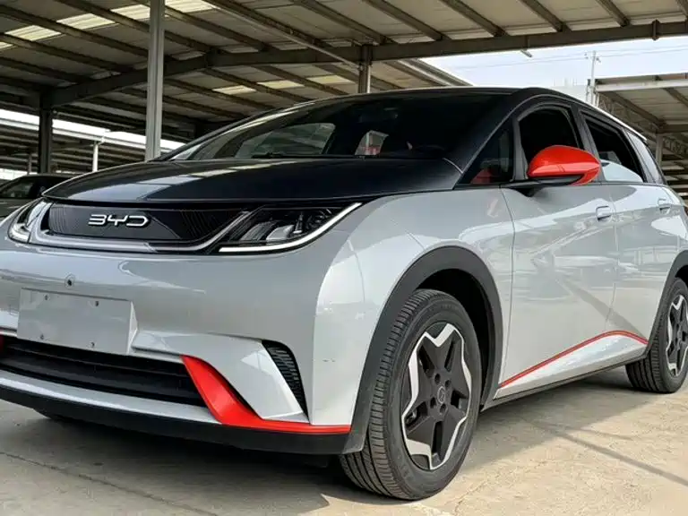 Фото 25 - BYD Dolphin