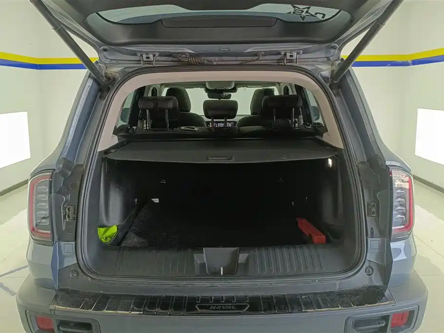 Haval Big Dog 2021 1.5T DCT 2WD Border Collie Edition фото 4