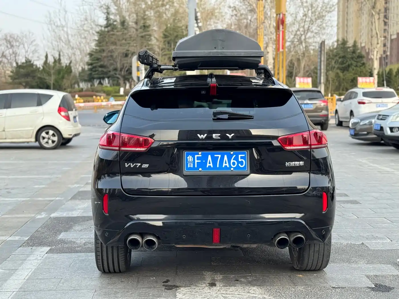 WEI PAI WEI BRAND VV7