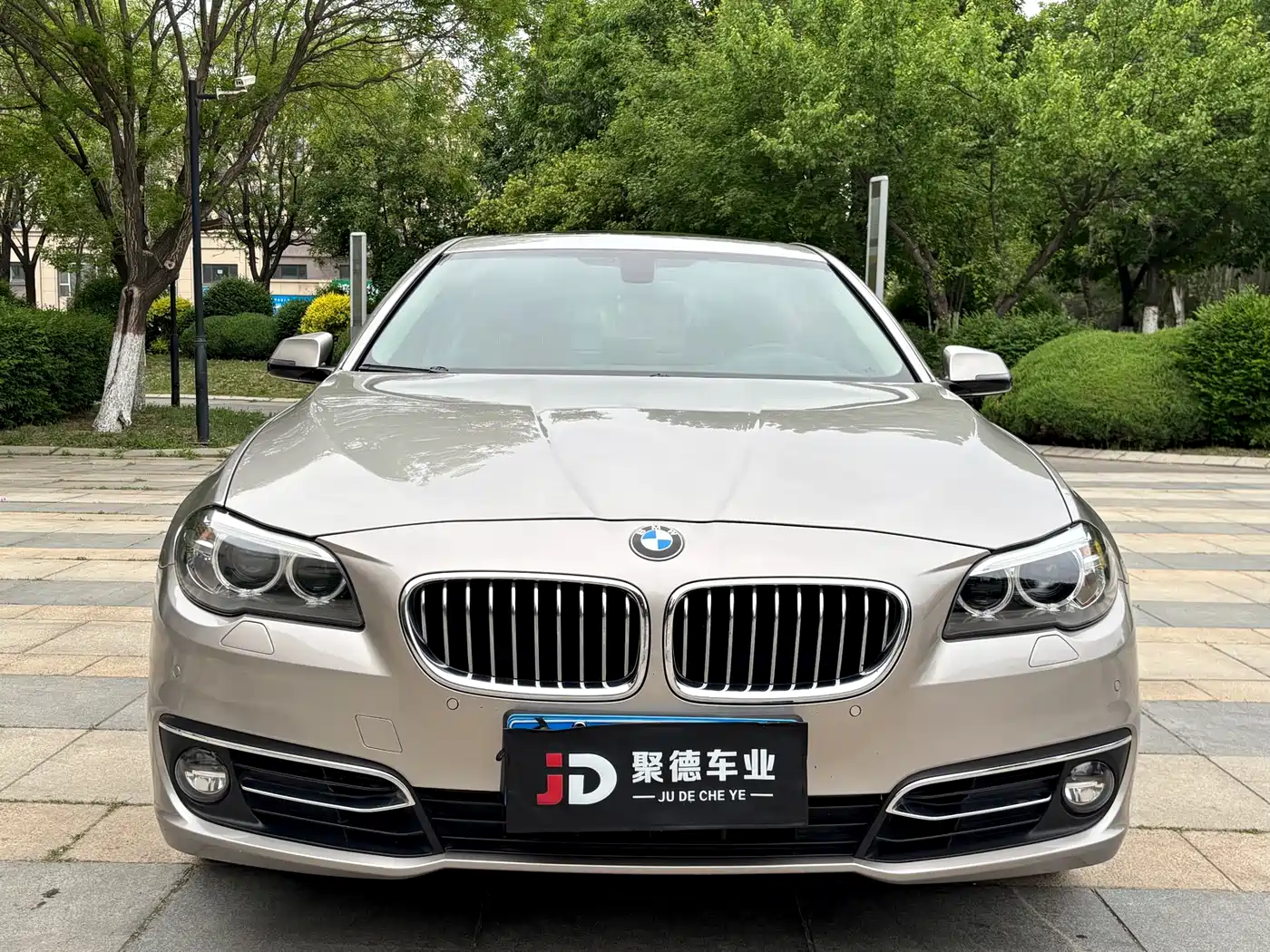 BMW 5 Series 2014 525Li Luxury Design Package фото 2