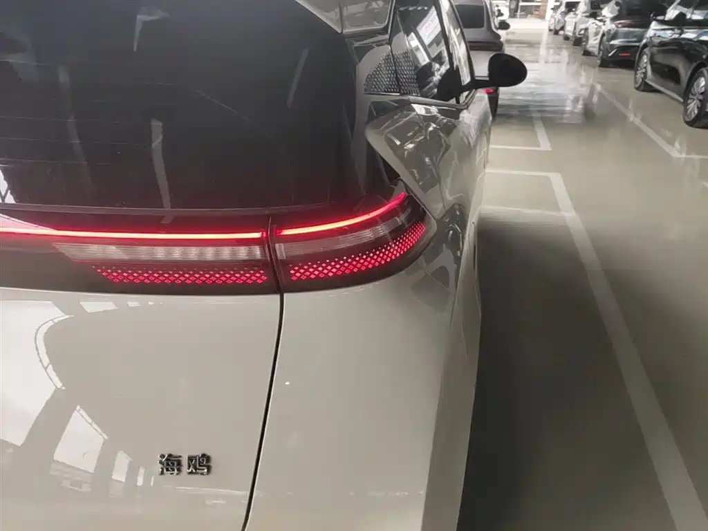BYD Seagull 2024 Glory Edition 405km Soaring Edition фото 8
