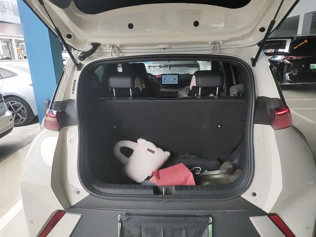 BYD Seagull 2024 Glory Edition 405km Soaring Edition фото 19