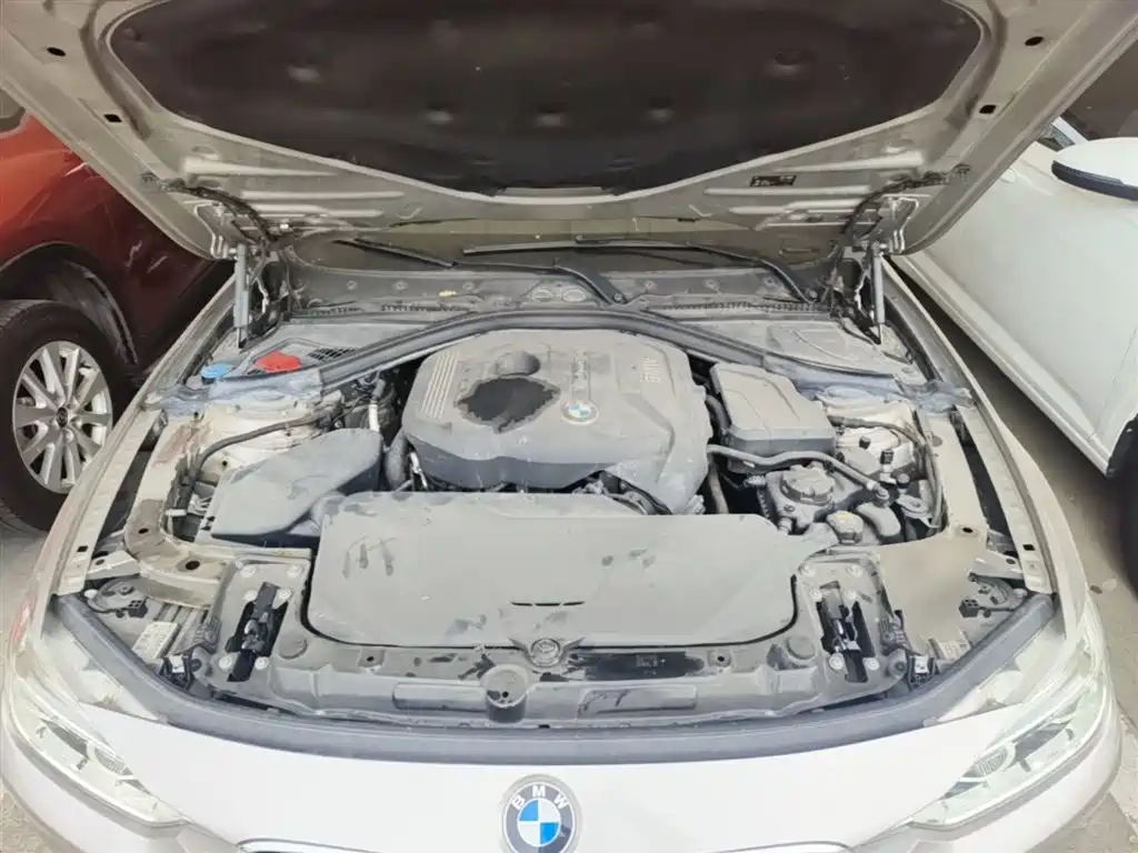 BMW 3 Series 2017 320Li Fashion фото 20
