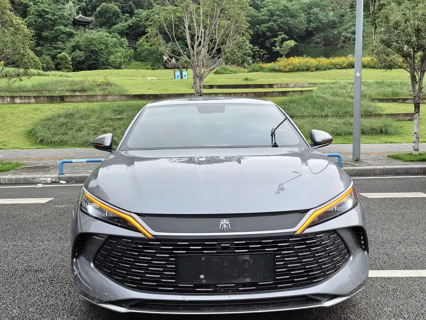 BYD Qin L 2024 DM-i 80KM Leading Edition фото 2