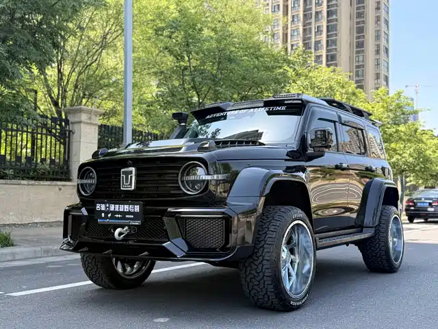 TANK 300