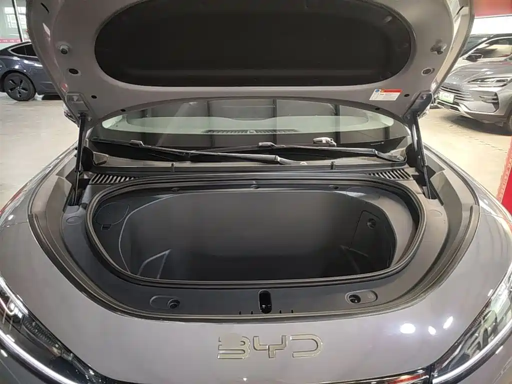BYD Hai Shi 05 EV 2025 520KM Smart Navigation Edition фото 20