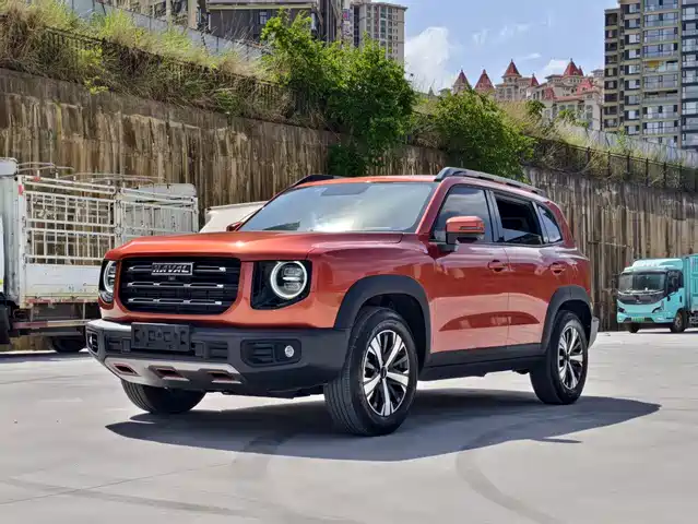 Haval Big Dog 2021 1.5T DCT 2WD Border Collie Edition