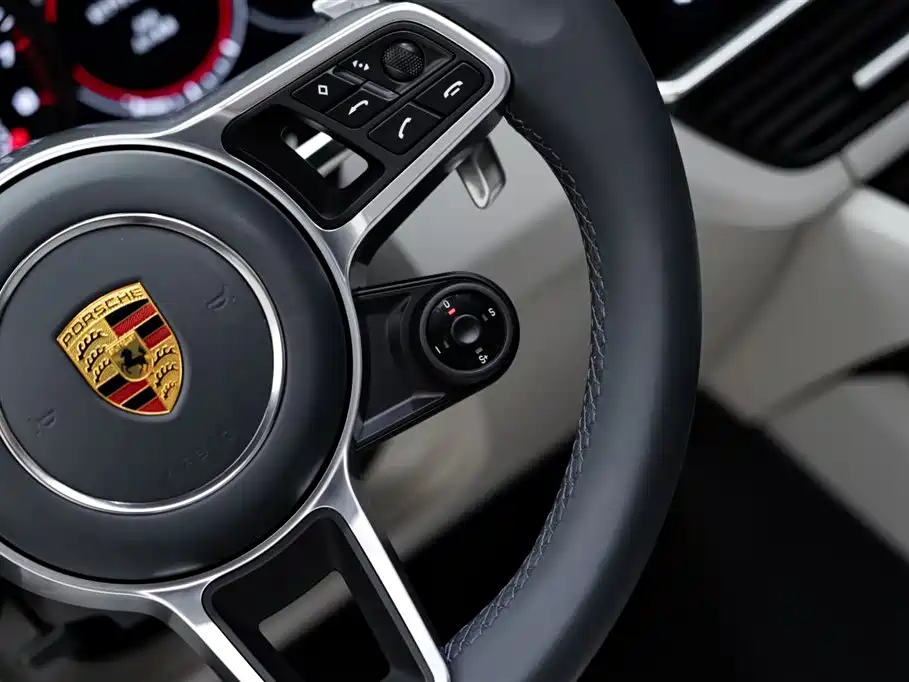 Porsche Cayenne 2022 Cayenne 3.0T Platinum Edition фото 21
