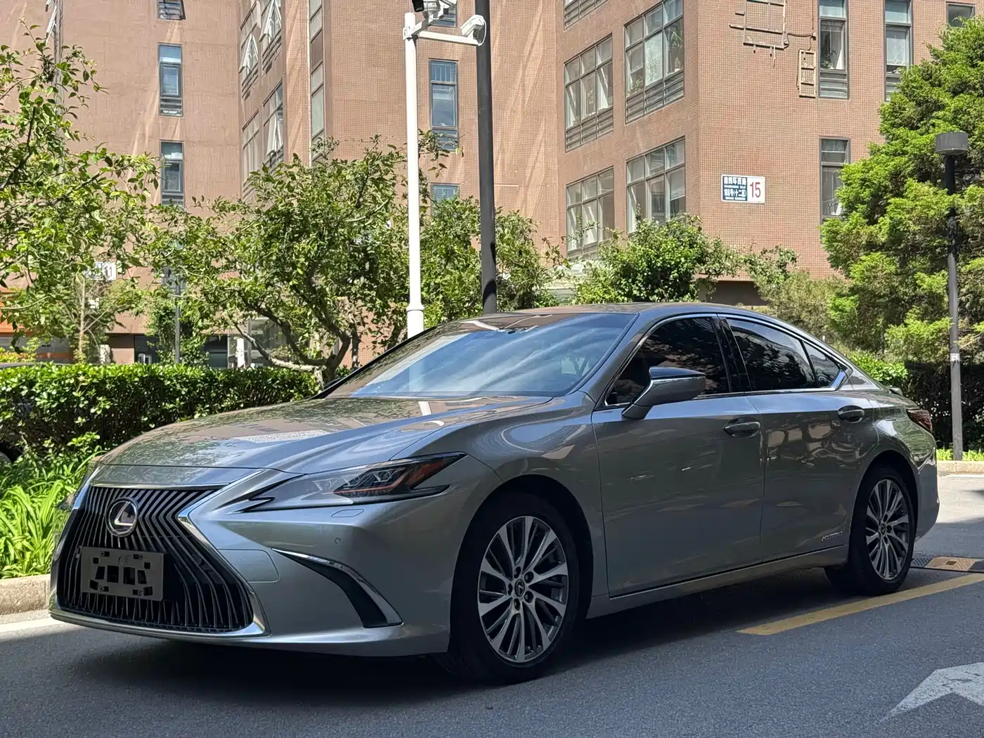 Lexus ES 2018 300h Premium Edition China V