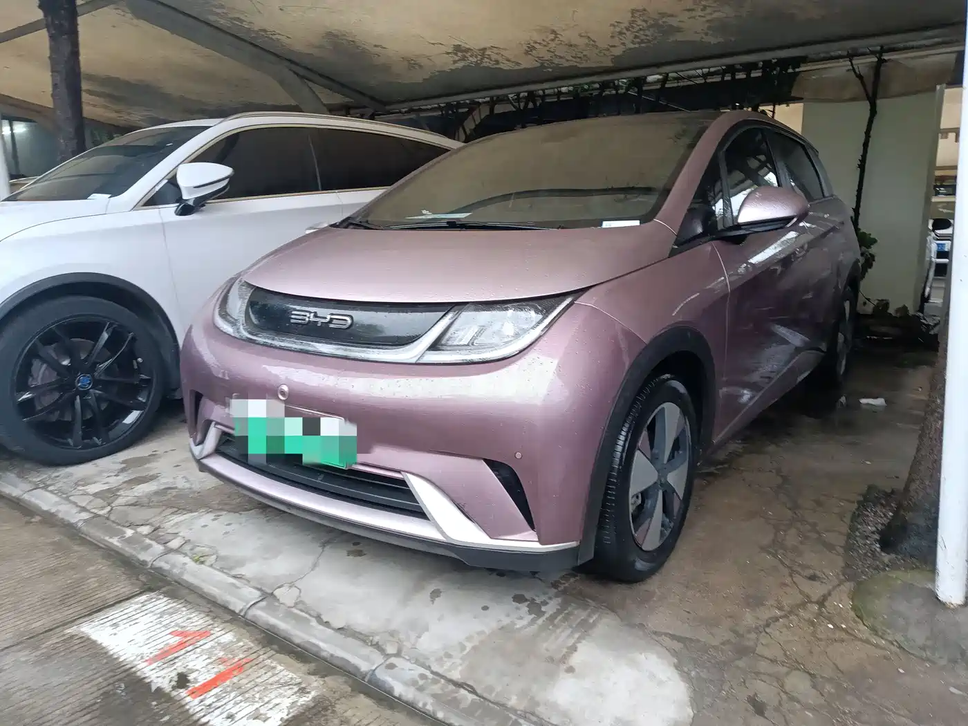 BYD Dolphin 2023 420km Fashion Edition