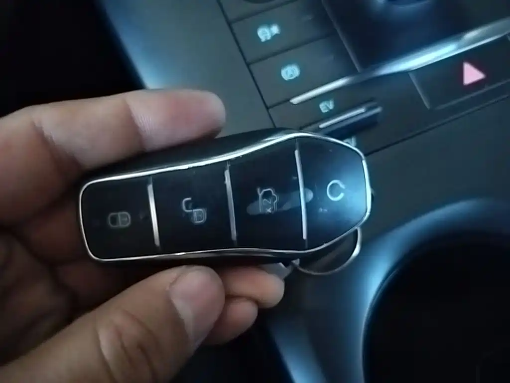 BYD Qin PLUS 2025 DM-i Smart Drive 55KM Leader фото 9
