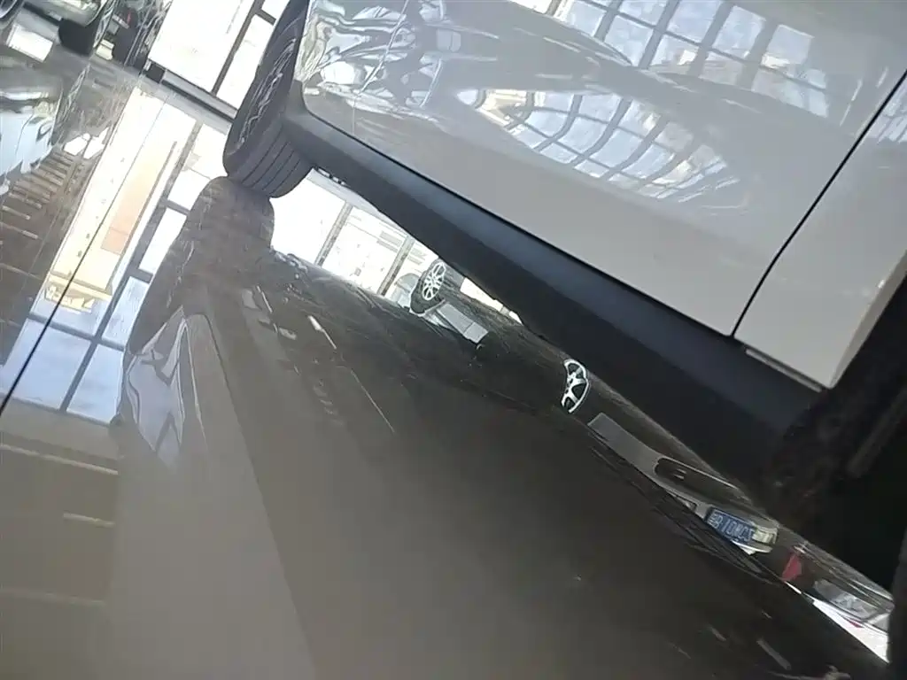 BYD Qin PLUS 2025 DM-i Smart Drive 55KM Leader фото 21