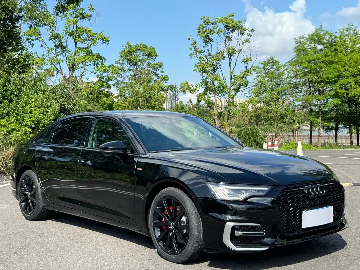 Audi A6L 2024 45 TFSI Premium Elegance фото 3