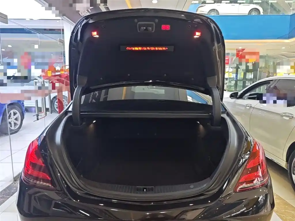 Mercedes-Benz S-Class 2018 S 450 L фото 19