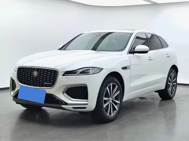  Jaguar Jaguar F-PACE 2021 250PS R-Dynamic S