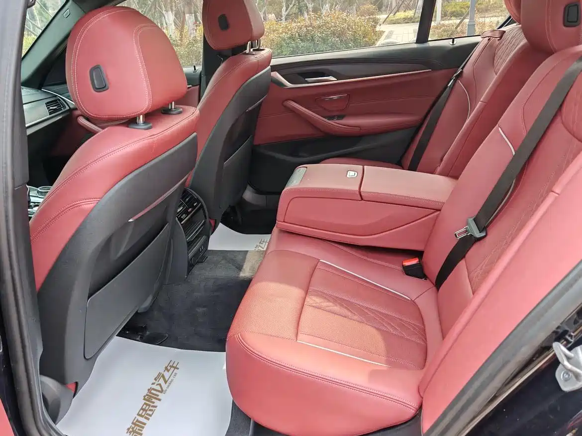 BMW 5 Series 2021 530Li Leading M Sport Package фото 9