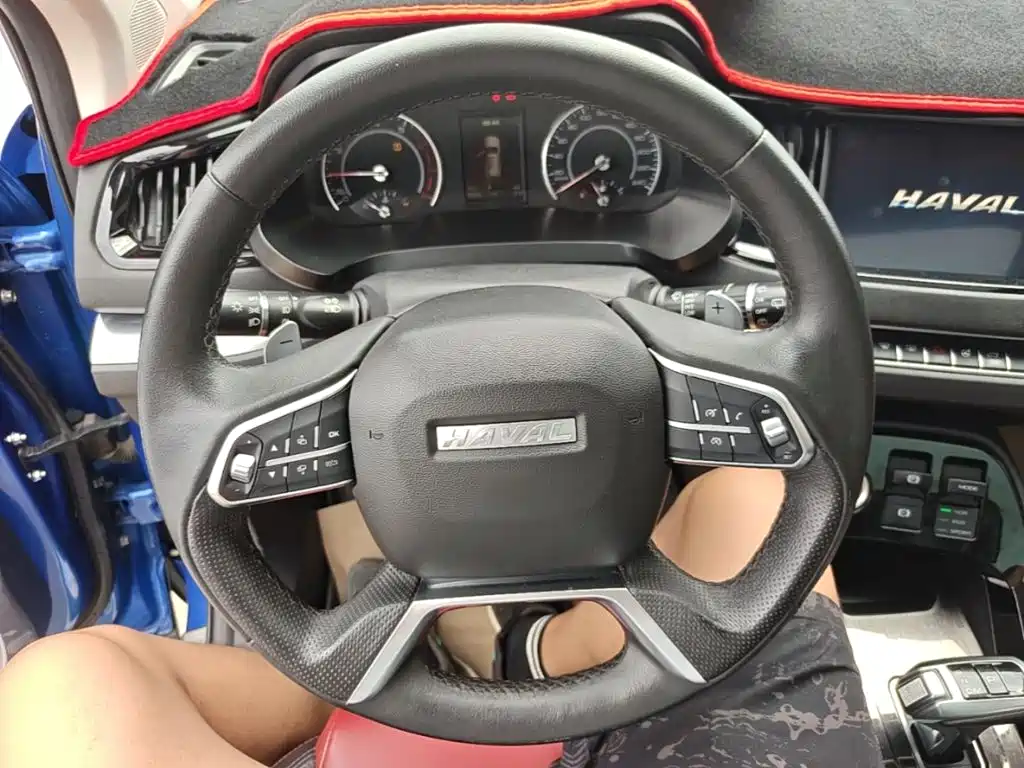 Фото 11 - Haval H2s