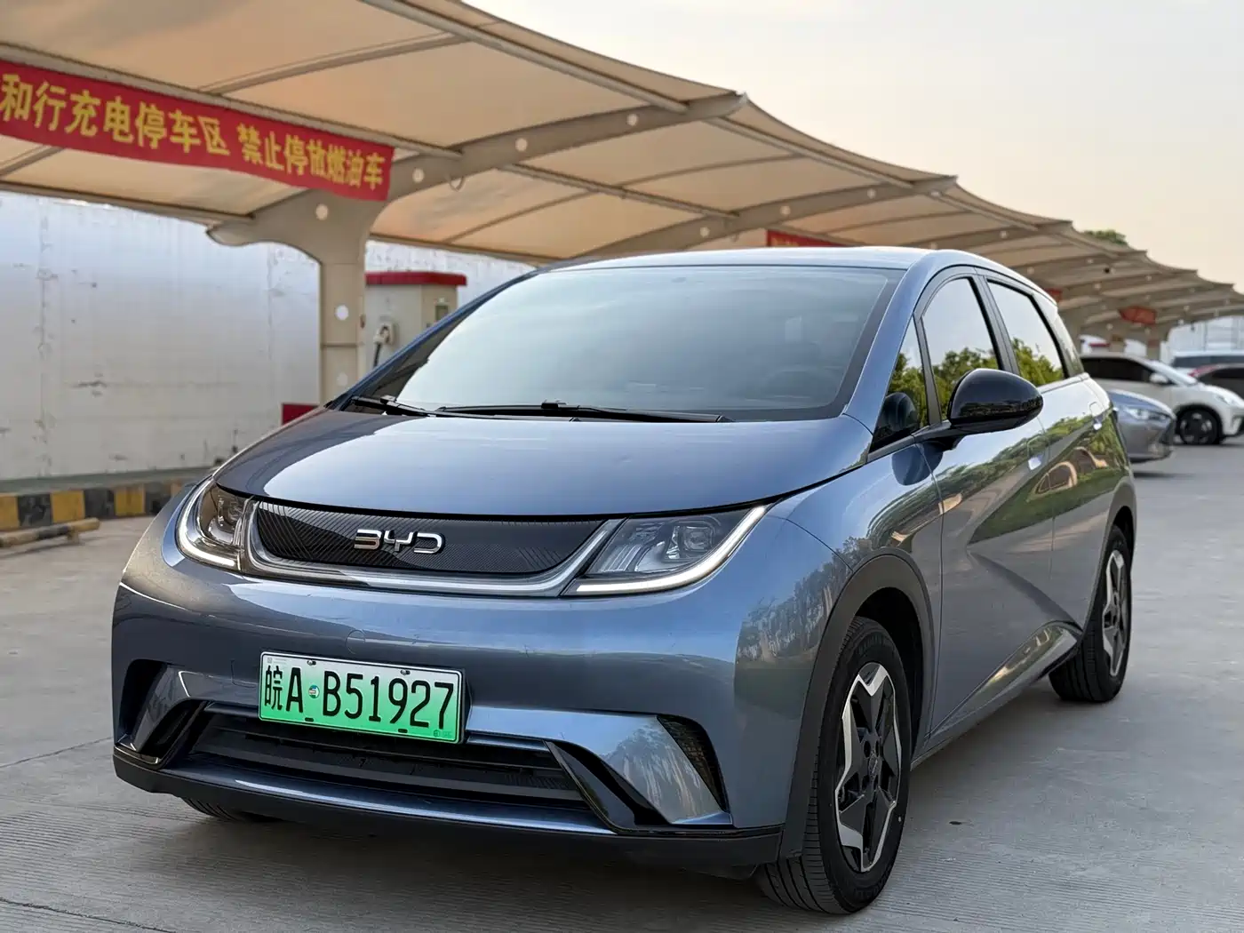 BYD Dolphin 2025 420km Vitality Edition