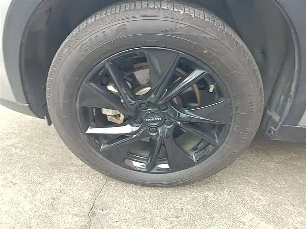 Haval H6 2021 3rd Generation 2.0T Auto AWD Max фото 23