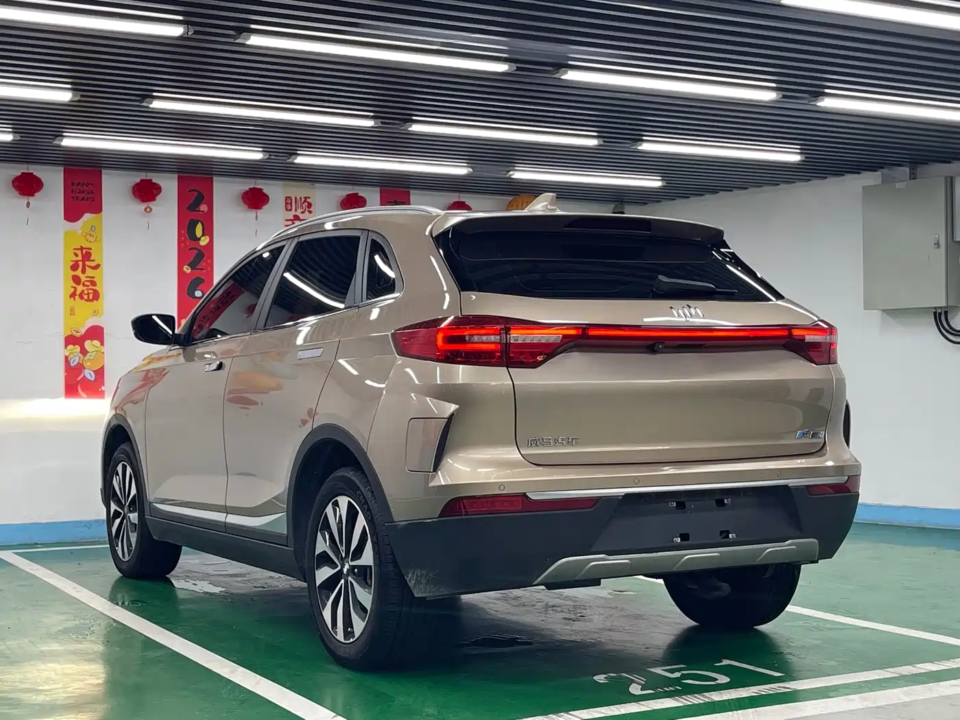 Weltmeister EX5 2020 2019 EX5 Lite Explorer Edition 520
