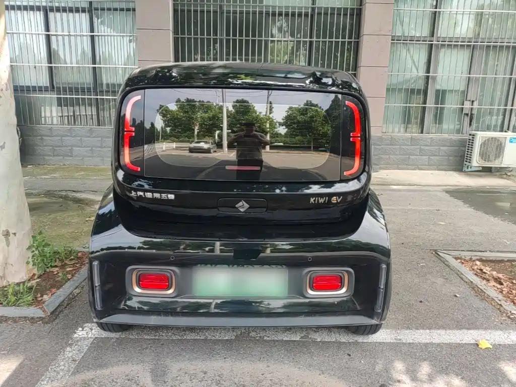 Baojun KiWi EV 2022 2022 Artist Lite Edition LFP