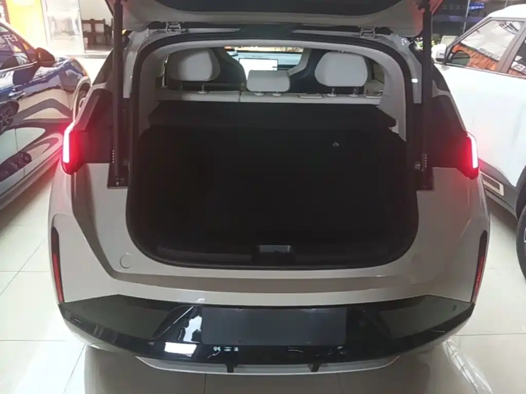 ZEEKR X 2024 2025 5-Seater Long Range Edition