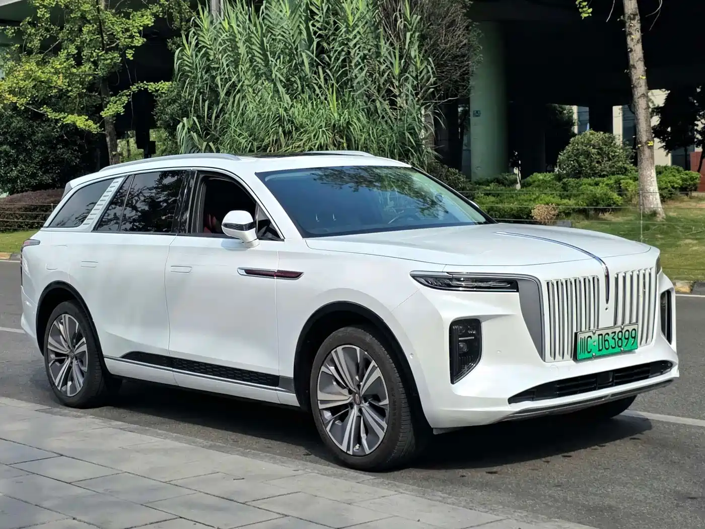 Hongqi E-HS9 2022 2021 460km Flagship Comfort 6-seater