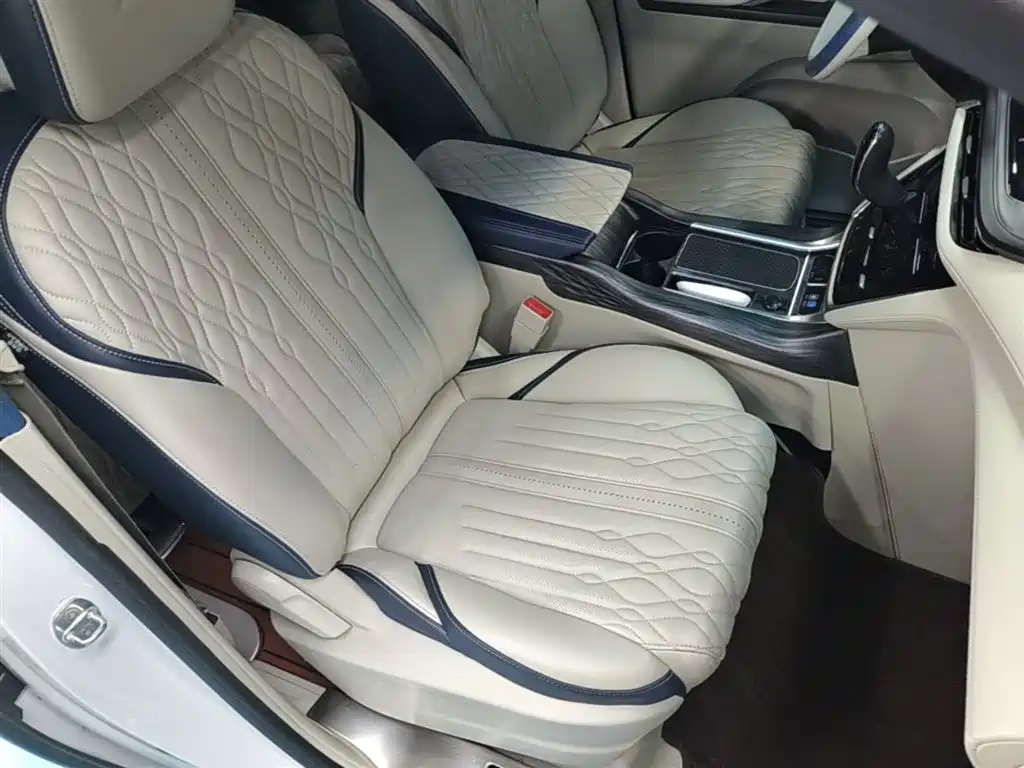 Buick GL8 2021 ES Landlord 653T Comfort фото 25