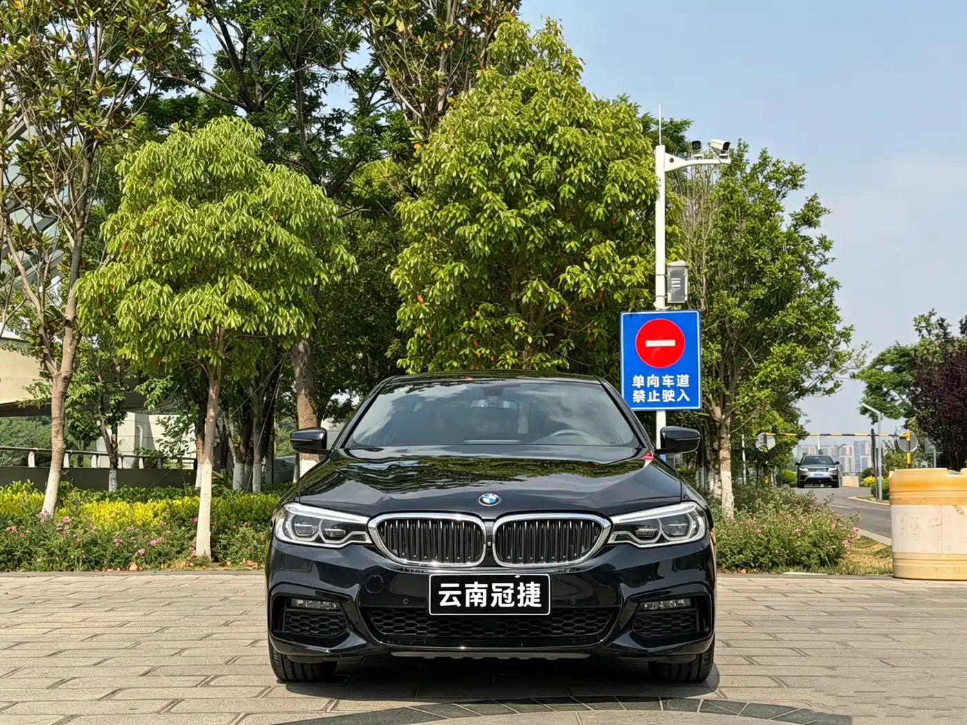 BMW 5 Series 2019 530Li Premium M Sport Package фото 2