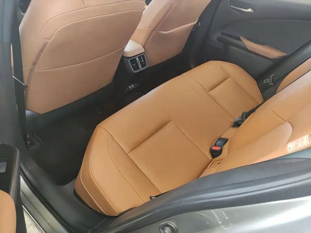 Lexus UX Electric 2021 2020 300e Pure Yue Edition