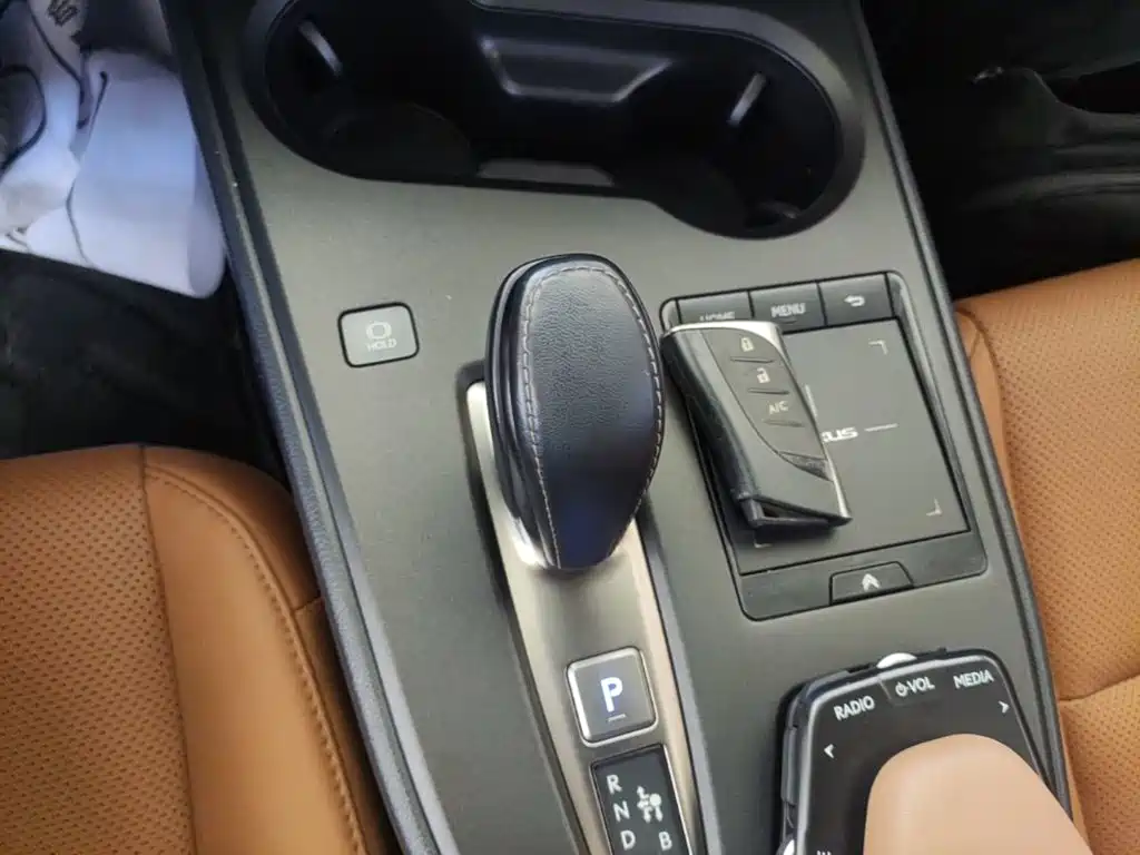 Lexus UX Electric 2021 2020 300e Pure Yue Edition