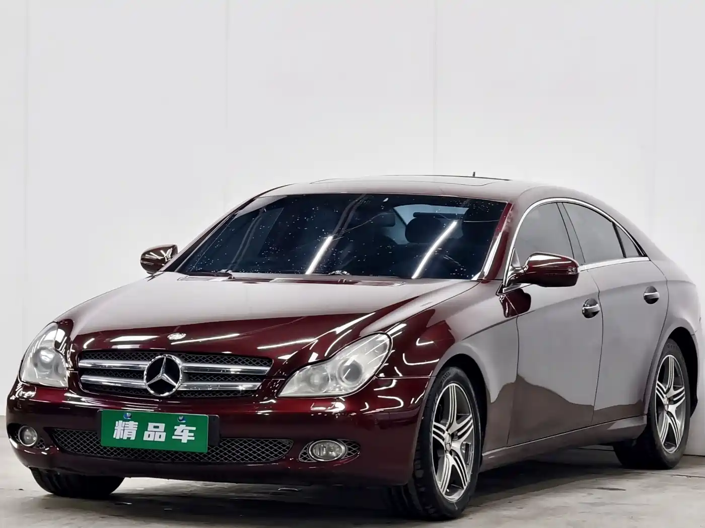 Mercedes-Benz CLS 2009 CLS 300