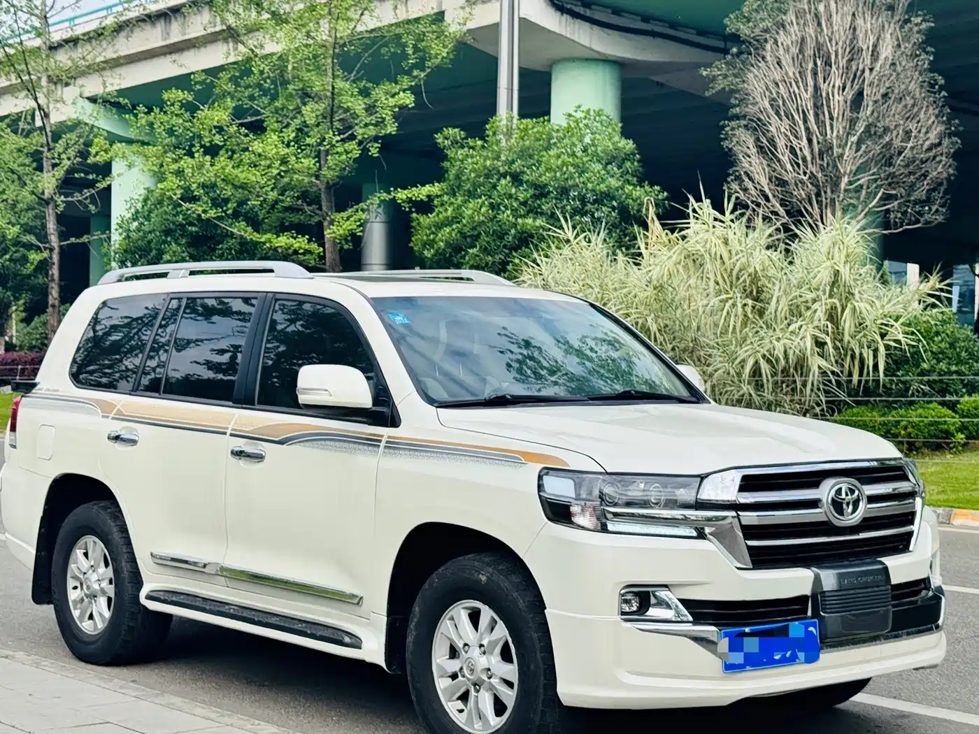 Toyota Land Cruiser (Import) фото 3