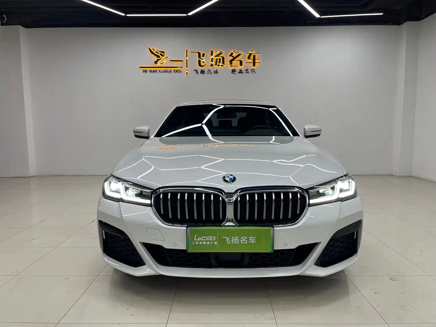 BMW 5 SERIES NEW ENERGY