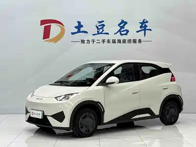 BYD Seagull