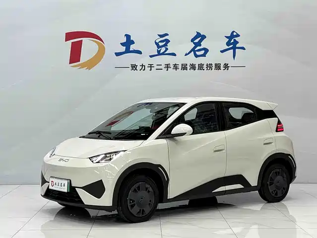 BYD Seagull Система помощи водителю, 305km, Энергия