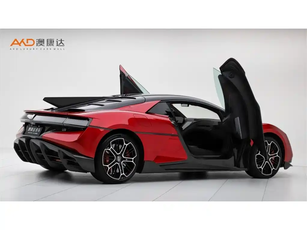 Yangwang U9 2025 2024 Standard Edition