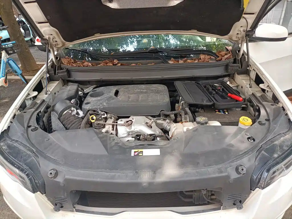 Jeep Cherokee 2019 2019 2.0T 2WD Premium Edition China V