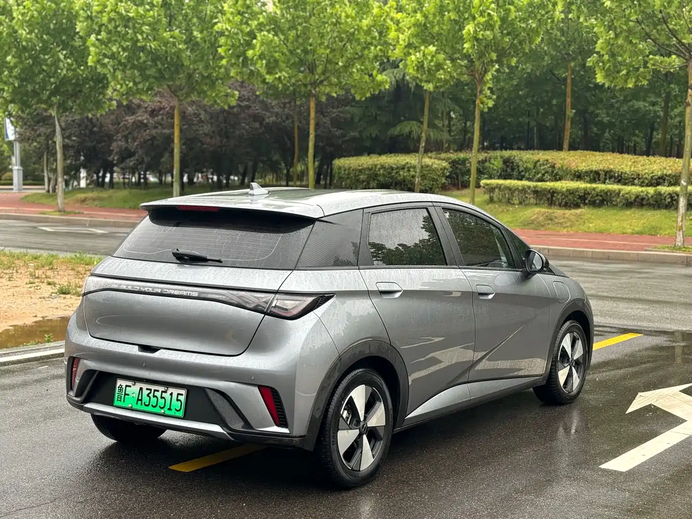 BYD Dolphin 2024 Glory Edition 420km Freedom Edition фото 5