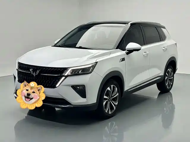 Wuling Motors Wuling Xingchen 2022 2.0L DHT Electric Speed Edition