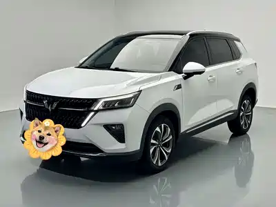 Wuling Asta