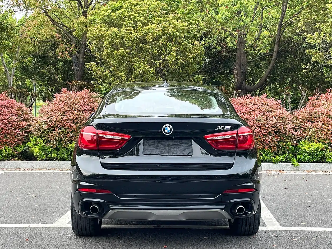BMW X6 2017 xDrive35i Leading фото 16