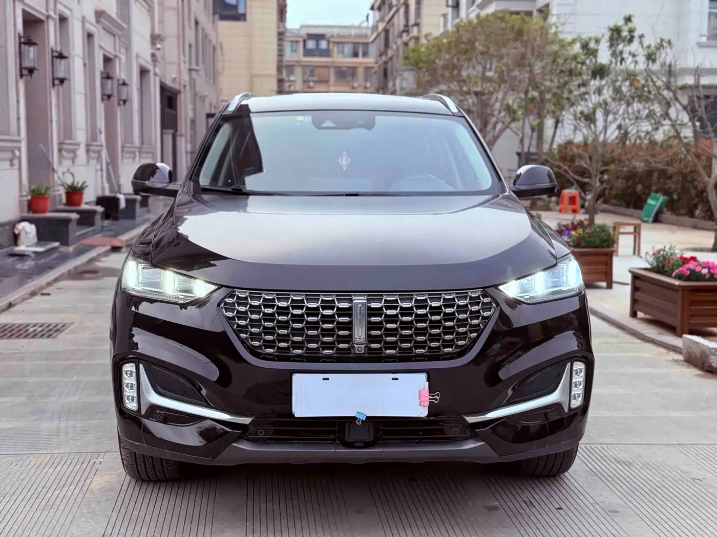 Фото 2 - WEY VV6