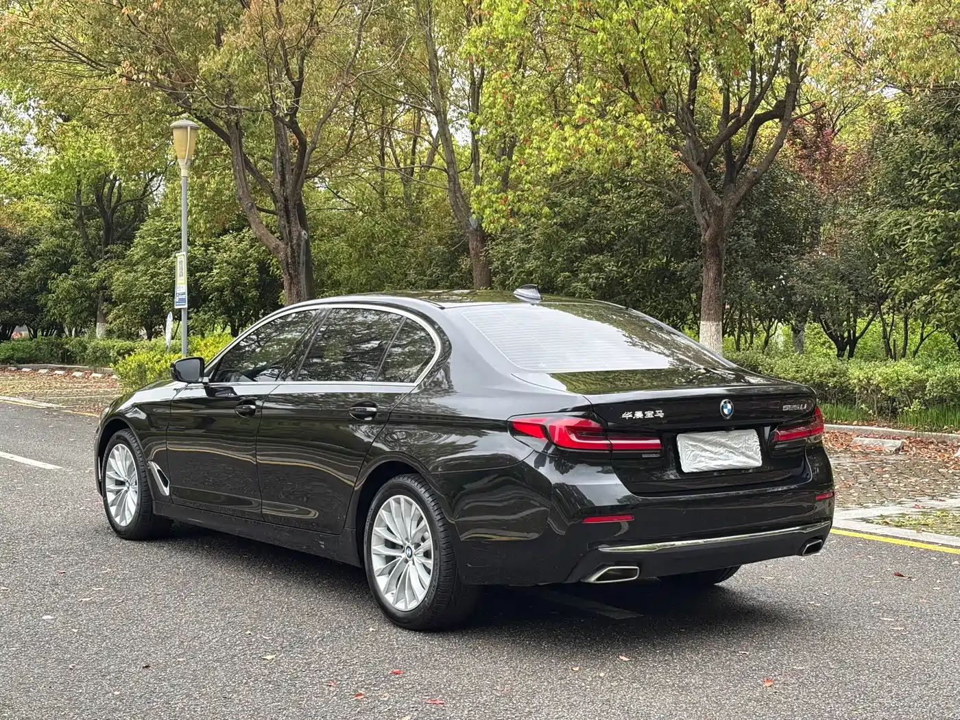 BMW 5 Series 2022 Model Second Facelift 525Li Luxury Package фото 7